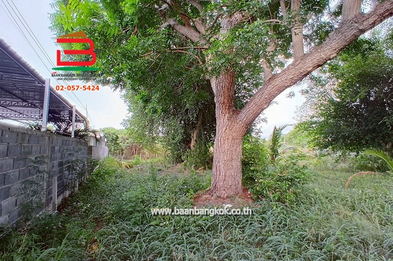 LINE_ALBUM_No.10607 LD.บางแสน สาย 2 ซ.15 1-0-29 ไร่ (เอ๋)_250506_33