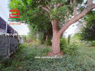 LINE_ALBUM_No.10607 LD.บางแสน สาย 2 ซ.15 1-0-29 ไร่ (เอ๋)_250506_33