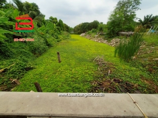 LINE_ALBUM__10483ที่ดิน+บ้าน557ตรว.สุวินทวงศ์17_250513_12