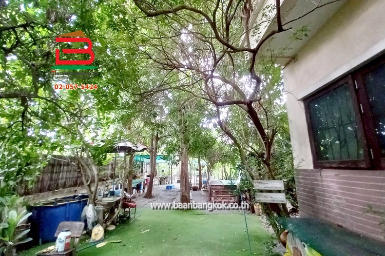 LINE_ALBUM_No.10243ที่ดินเปล่า 100ตรว.ซ.นิมิตใหม่11(ตาน)_250519_28