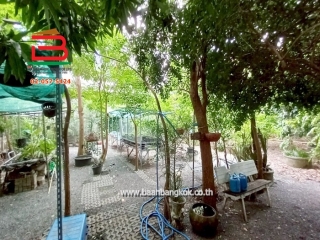 LINE_ALBUM_No.10243ที่ดินเปล่า 100ตรว.ซ.นิมิตใหม่11(ตาน)_250519_27