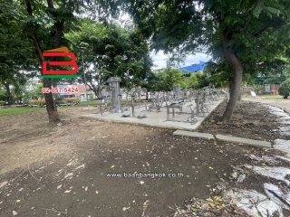 S__18341906