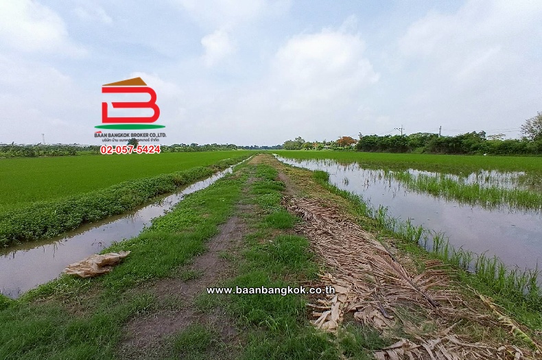 LINE_ALBUM_No.10752 LD.คลองสามวาตะวันออก ถนนไมตรีจิตซ.10 ก._250604_14