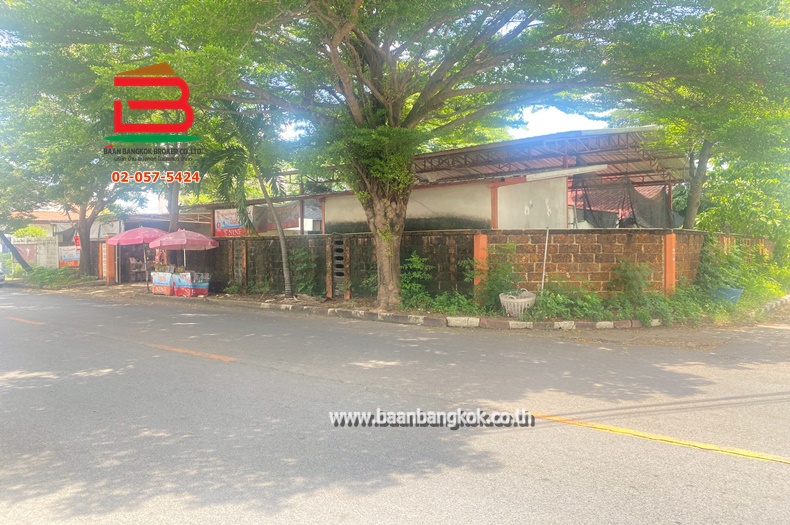 ขาย/เช่า ที่ดินพร้อมบ้าน เนื้อที่ 199 ตรว. ซอยเกษตร 9 (แจ้งวัฒนะ 14) ถนนแจ้งวัฒนะ แขวงทุ่งสองห้อง(สีกัน) เขตบางเขน กรุงเทพมหานคร