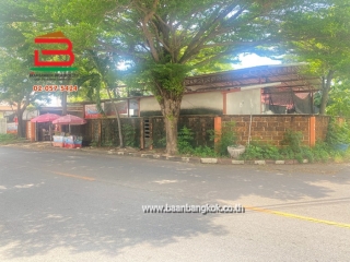 LINE_ALBUM_N 10799_250611_2