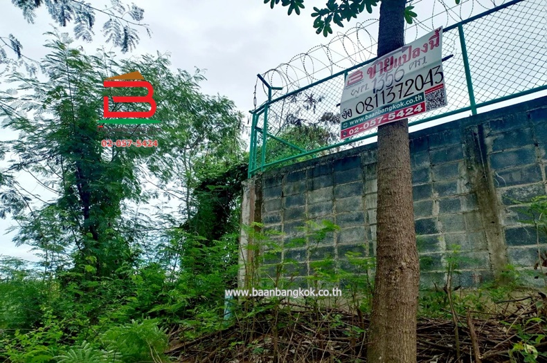LINE_ALBUM__10486ที่ดิน3.1.56ไร่คูบางหลวง_250616_12