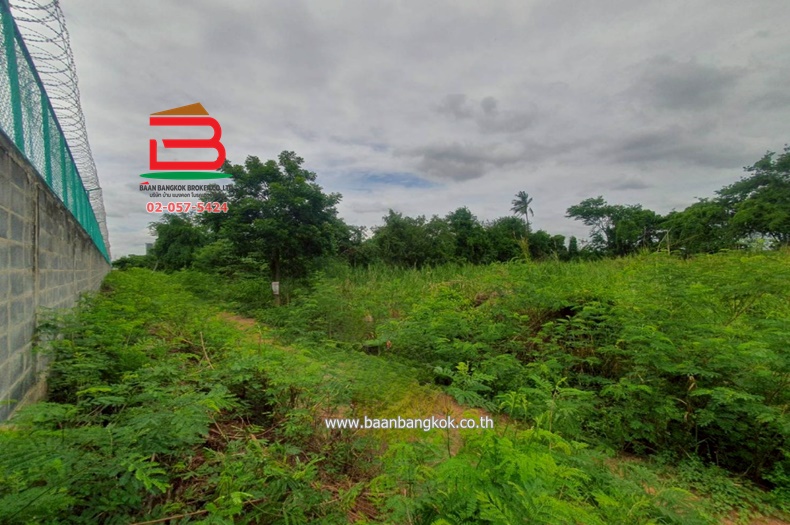 LINE_ALBUM__10486ที่ดิน3.1.56ไร่คูบางหลวง_250616_17