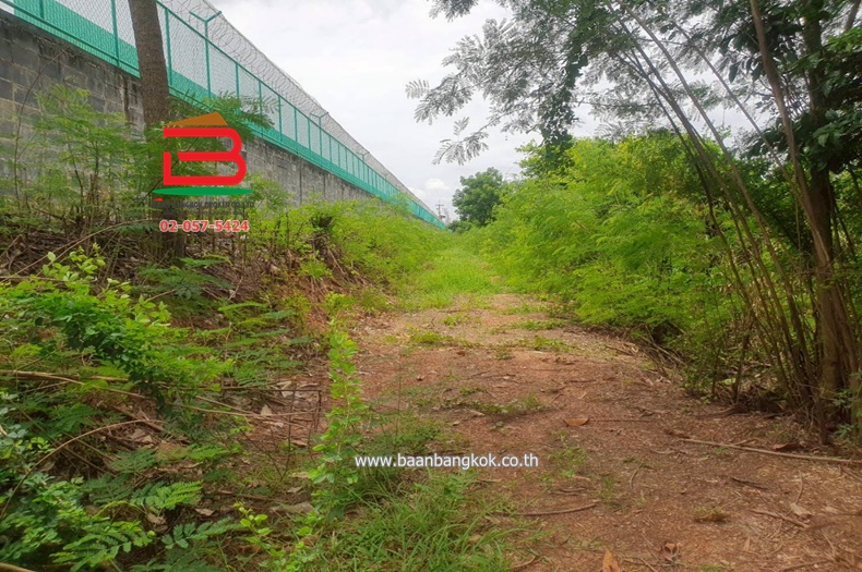 LINE_ALBUM__10486ที่ดิน3.1.56ไร่คูบางหลวง_250616_18