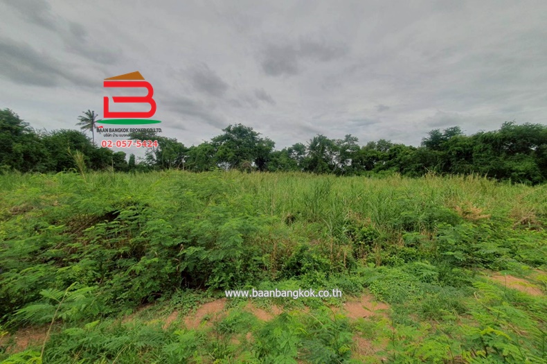LINE_ALBUM__10486ที่ดิน3.1.56ไร่คูบางหลวง_250616_19