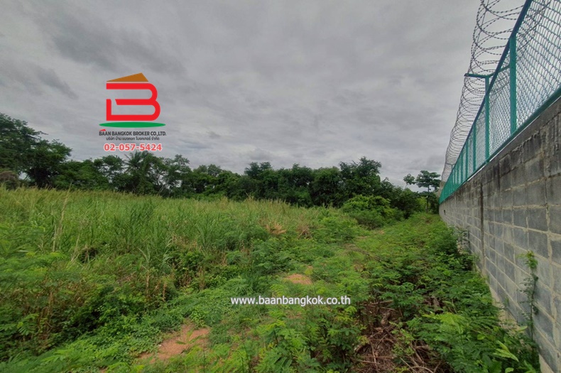 LINE_ALBUM__10486ที่ดิน3.1.56ไร่คูบางหลวง_250616_20