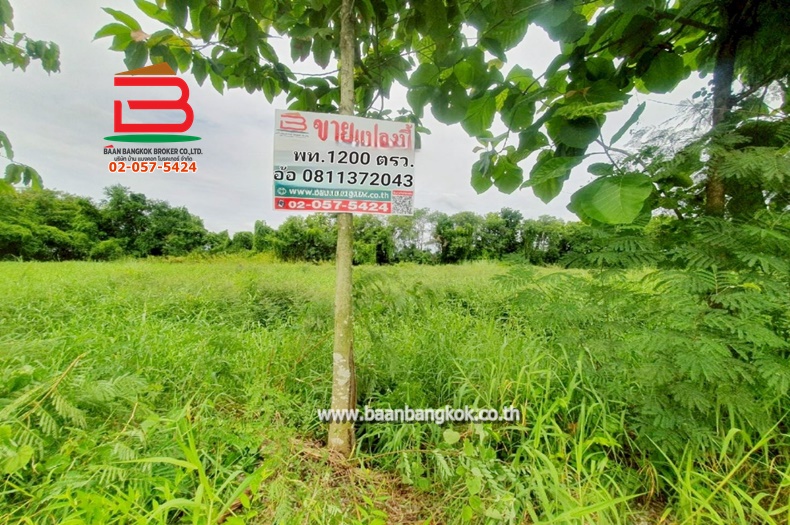 ที่ดินเปล่า ระแหง-ลาดหลุมแก้ว เนื้อที่ 3 ไร่ ติดบจก.ชาญนครวิศวกรรม, ตรงข้ามปั้ม ปตท. ม.12 ถนนกาญจนาภิเษก ตำบลระแหง อำเภอลาดหลุมแก้ว จังหวัดปทุมธานี