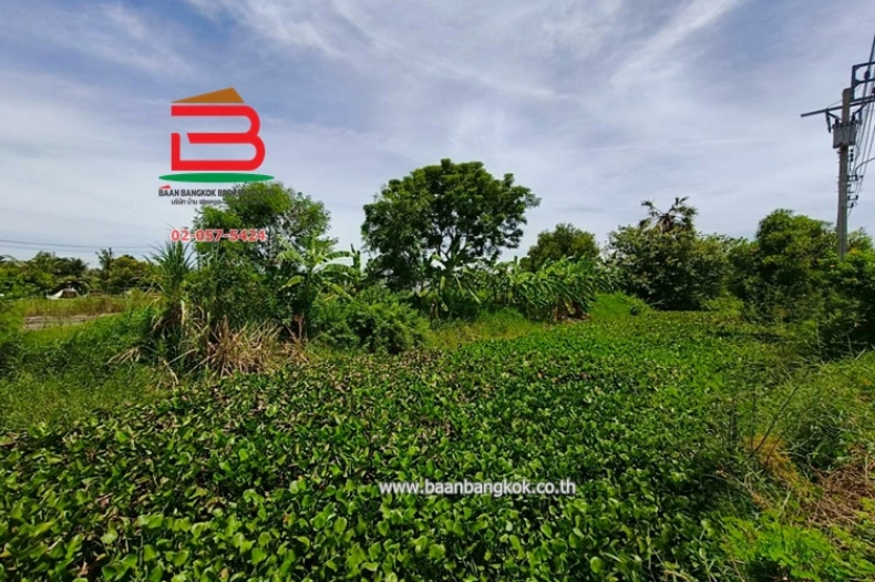 LINE_ALBUM_N.10431 ที่ดิน200 ตร.ว.ซ.สุวินทวงศ์98นุ้ย_250623_11