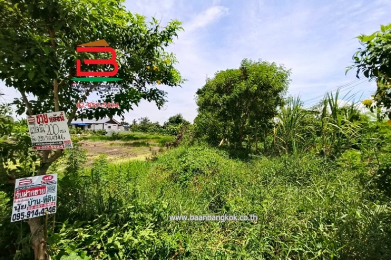 LINE_ALBUM_N.10431 ที่ดิน200 ตร.ว.ซ.สุวินทวงศ์98นุ้ย_250623_8