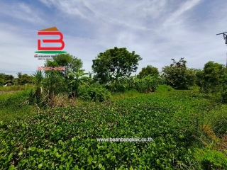 LINE_ALBUM_N.10431 ที่ดิน200 ตร.ว.ซ.สุวินทวงศ์98นุ้ย_250623_11