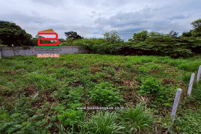 LINE_ALBUM_No.10818 LD.ซอยหัวหิน 25146 ตรว.(เอ๋)_250708_25