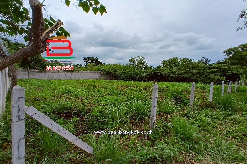 LINE_ALBUM_No.10818 LD.ซอยหัวหิน 25146 ตรว.(เอ๋)_250708_26