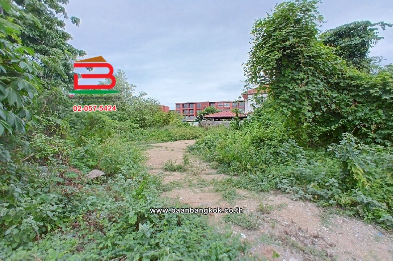 LINE_ALBUM_No.10818 LD.ซอยหัวหิน 25146 ตรว.(เอ๋)_250708_28