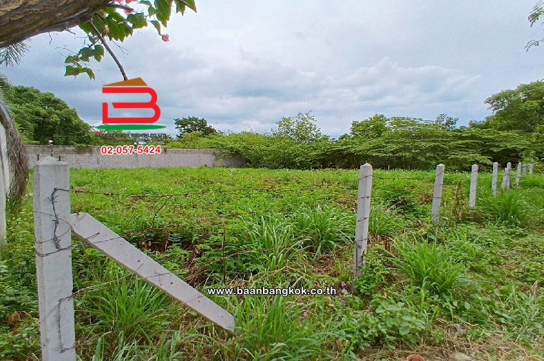 LINE_ALBUM_No.10818 LD.ซอยหัวหิน 25146 ตรว.(เอ๋)_250708_29
