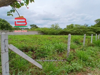 LINE_ALBUM_No.10818 LD.ซอยหัวหิน 25146 ตรว.(เอ๋)_250708_29