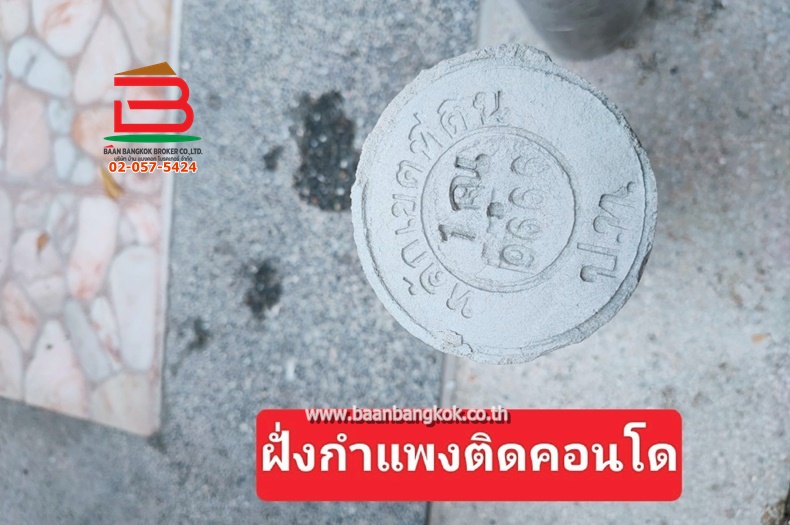 LINE_ALBUM_L.010830ที่ดินเมืองเอก78วาLek_250731_16