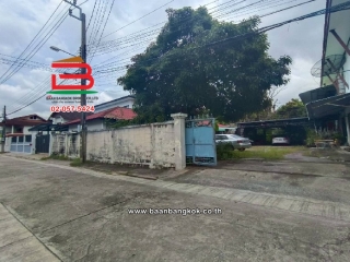 LINE_ALBUM_No.10766 ที่ดิน+บ้านบางขุนนนท์_250825_24