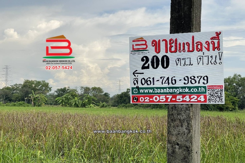 ที่ดินเปล่า ซอยเฉลิมกิจ (เลียบคลอง12) เนื้อที่ 200 ตร.ว ใกล้มัสยิดอิกอมาตุ้ล ตำบลหนองสามวัง อำเภอหนองเสือ ปทุมธานี   