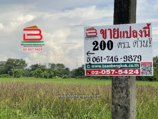 11089, ที่ดินเปล่า ซอยเฉลิมกิจ (เลียบคลอง12) เนื้อที่ 200 ตร.ว ใกล้มัสยิดอิกอมาตุ้ล ตำบลหนองสามวัง อำเภอหนองเสือ ปทุมธานี   