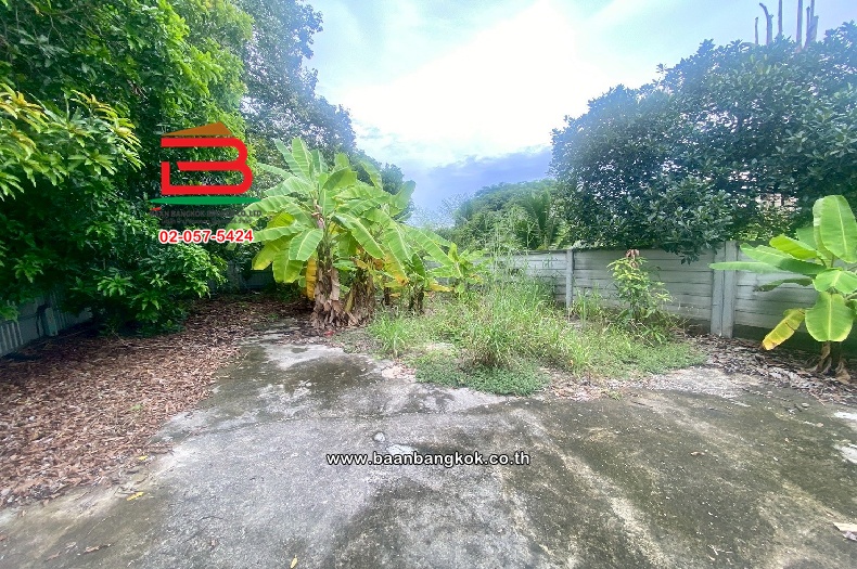 LINE_ALBUM_No.11104 LD แก้วเงินทอง 44 ตลิ่งชัน_250908_11