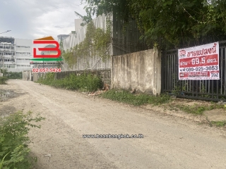 11130, ที่ดินเปล่า สุขุมวิท 107 (แบริ่ง 58/8) เนื้อที่ 99.5 ตร.ว (อยู่ด้านหลังโรงเรียนเซนโยเซฟบางนา) ตำบลสำโรงเหนือ อำเภอเมืองสมุทรปราการ สมุทรปราการ    