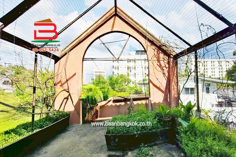 LINE_ALBUM_N.10957 ที่ดินปลูกบ้าน 202 ตร.ว.งามวงศ์วาน 9 แยก 5_250922_1