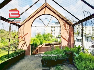 LINE_ALBUM_N.10957 ที่ดินปลูกบ้าน 202 ตร.ว.งามวงศ์วาน 9 แยก 5_250922_1