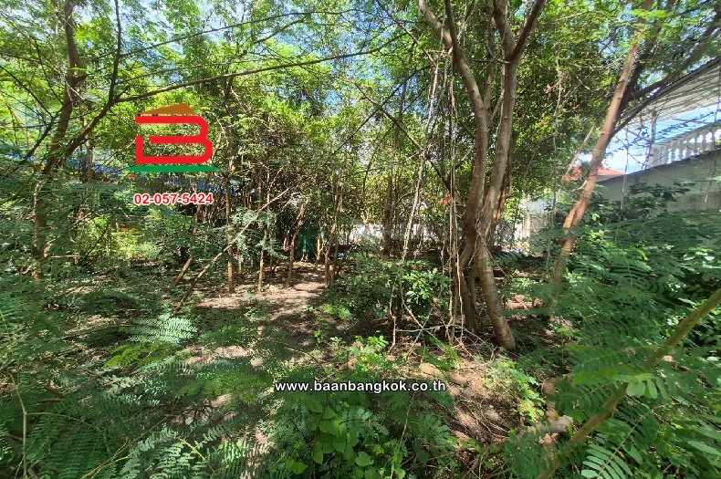 LINE_ALBUM_010813 ที่ดินถมแล้ว ซ.เพชรเกษม 68 แยก 31_251015_20