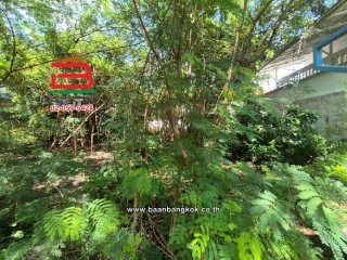 LINE_ALBUM_010813 ที่ดินถมแล้ว ซ.เพชรเกษม 68 แยก 31_251015_18