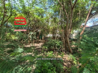 LINE_ALBUM_010813 ที่ดินถมแล้ว ซ.เพชรเกษม 68 แยก 31_251015_20