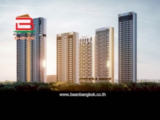 LINE_ALBUM_No.11225 CD.Noble Create(โนเบิล ครีเอท) (เอ๋)_251018_24