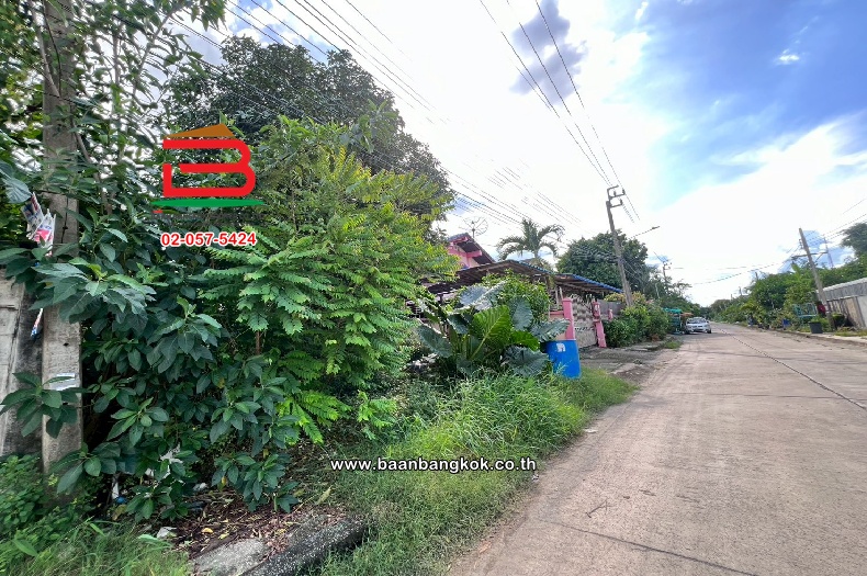 LINE_ALBUM_No.11250 ที่ดินพุทธมณฑลสาย 3_251020_14