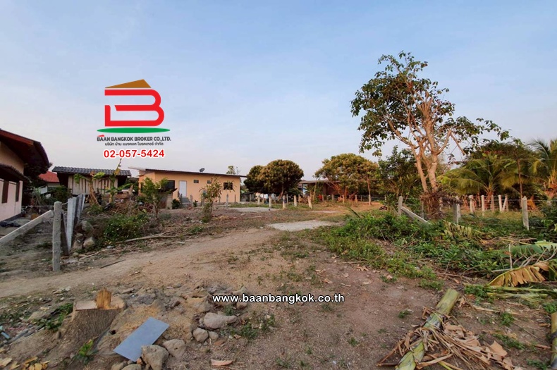 LINE_ALBUM_No.011235ที่ดินเปล่า222.4ตรว.บ้านหนองฮ่าง[ตาน]_251028_20