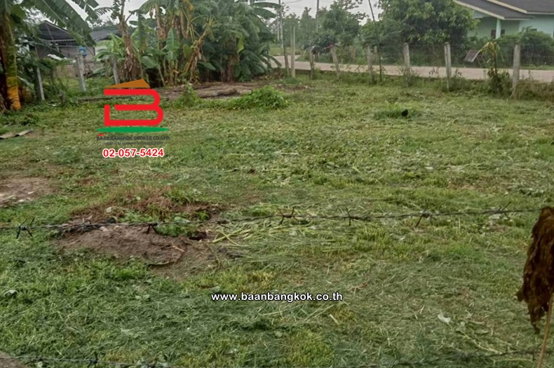 LINE_ALBUM_No.011235ที่ดินเปล่า222.4ตรว.บ้านหนองฮ่าง[ตาน]_251028_29