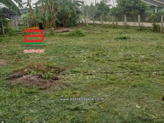 LINE_ALBUM_No.011235ที่ดินเปล่า222.4ตรว.บ้านหนองฮ่าง[ตาน]_251028_29