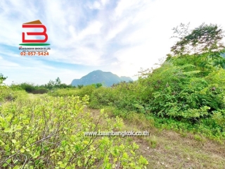 LINE_ALBUM_No.11263 LD. สามร้อยยอด 20 ประจวบฯ60 ว้า (เอ๋)_251027_14