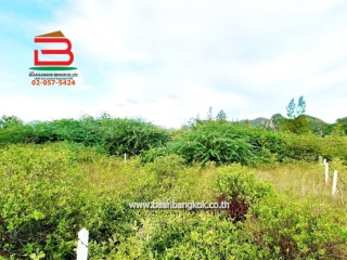 LINE_ALBUM_No.11263 LD. สามร้อยยอด 20 ประจวบฯ60 ว้า (เอ๋)_251027_16