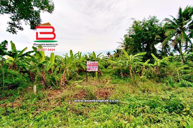 ที่ดินเปล่า เนื้อที่ 12-0-46.2 ไร่ ซอยปลายน้ำ ใกล้แยกปราณบุรี ถนนเพชรเกษม ตำบลเขาน้อย อำเภอปราณบุรี ประจวบคีรีขันธ์  