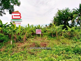 11246, ที่ดินเปล่า เนื้อที่ 12-0-46.2 ไร่ ซอยปลายน้ำ ใกล้แยกปราณบุรี ถนนเพชรเกษม ตำบลเขาน้อย อำเภอปราณบุรี ประจวบคีรีขันธ์  