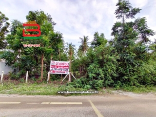 11261, ที่ดินเปล่า ซอยสามร้อยยอด 23 เนื้อที่ 330 ตร.ว (ใกล้หาดสามร้อยยอด) ถนนเพชรเกษม ตำบลสามร้อยยอด อำเภอสามร้อยยอด จังหวัดประจวบคีรีขันธ์