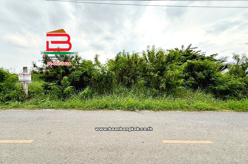 ขาย/เช่า ที่ดินเปล่าถมแล้ว ซอยกำนันสมจิตร เนื้อที่ 127 ตร.ว (ใกล้มอเตอร์เวย์ M81) ตำบลบางแม่นาง อำเภอบางใหญ่ จังหวัดนนทบุรี