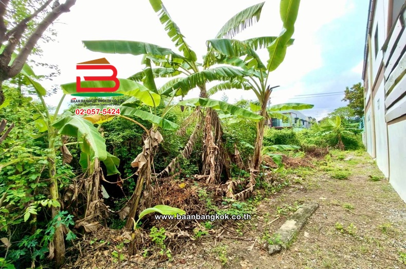 LINE_ALBUM_No.11286 LD.ซ.เพชรเกษม79 แยก 1,3 รวม 174 ว้า(เอ๋)_251103_8