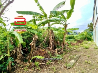 LINE_ALBUM_No.11286 LD.ซ.เพชรเกษม79 แยก 1,3 รวม 174 ว้า(เอ๋)_251103_8