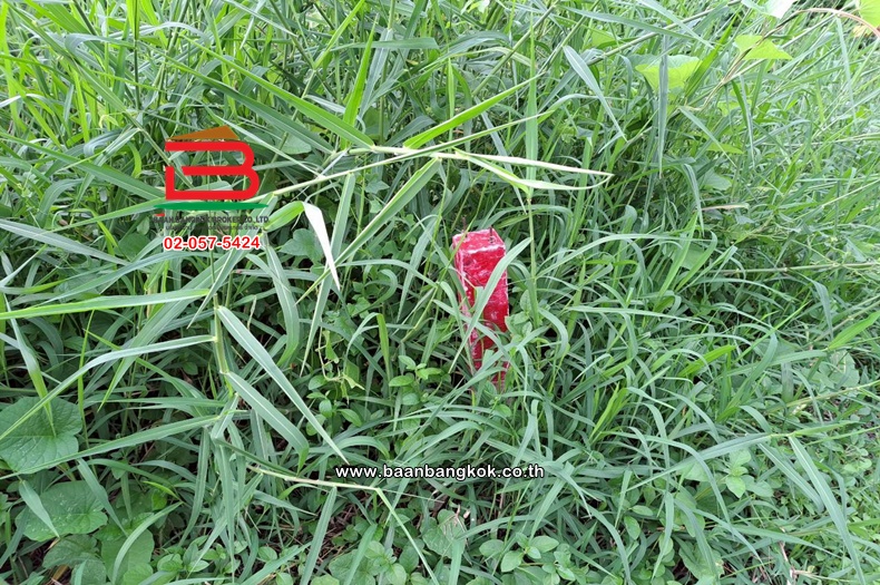 LINE_ALBUM_011278LDวัชรพล3_251103_1