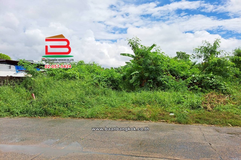 LINE_ALBUM_011278LDวัชรพล3_251103_3