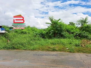 LINE_ALBUM_011278LDวัชรพล3_251103_3